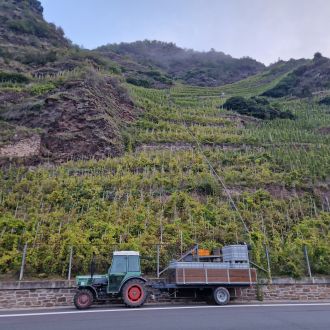 Mosel