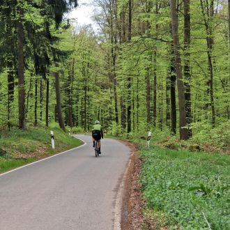 Zweibrücker Hügelland