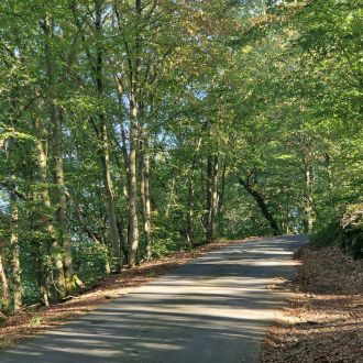 Westerwald