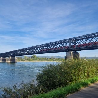 Le Rhin