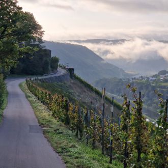 La Moselle
