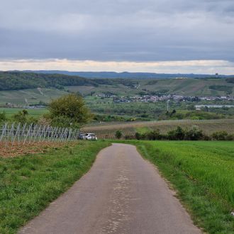 La Sarre